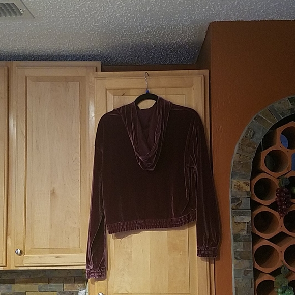 PINK Victoria Secret Velour Velvet Crop Hoodie - Picture 4 of 4